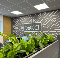 TOKA