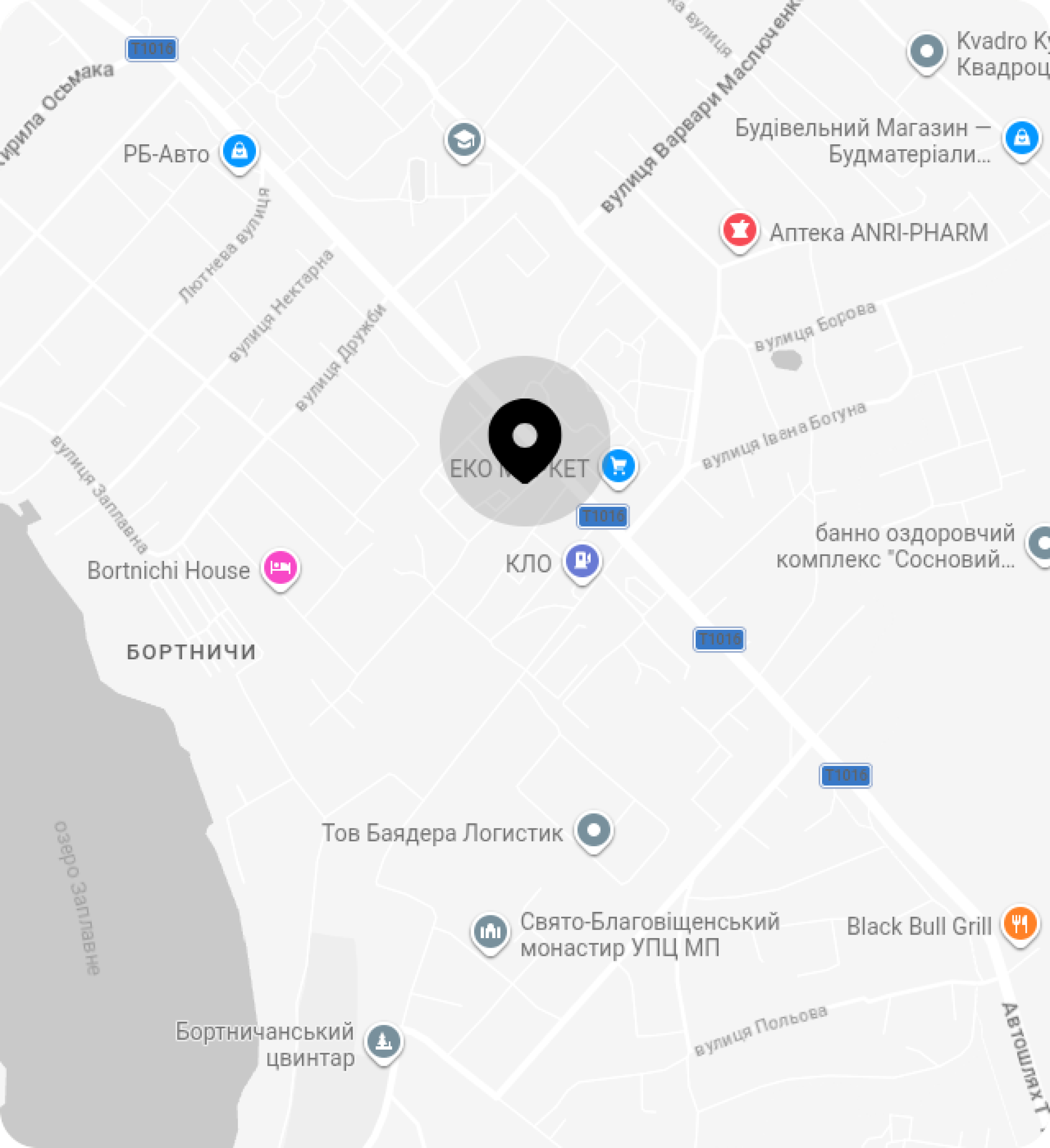 Map background